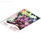 ミックスガーデンコロンバイン多年生オダマキの花、オリジナルパック、50種、非常に美しい庭の花IWSB128