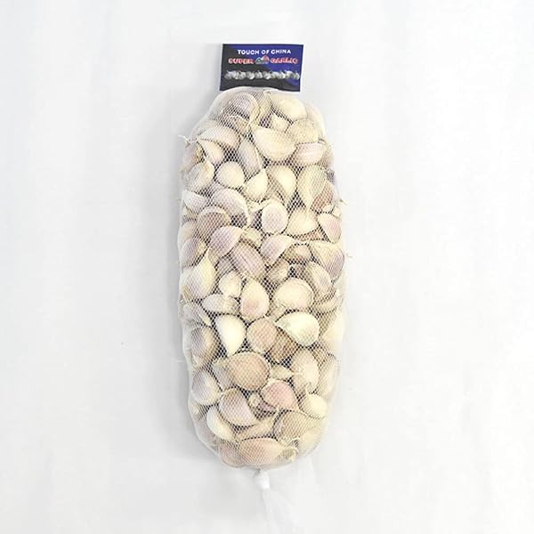 Amazon.co.jp: 【 西根の森 山菜 苗 】 タラの木 女だら 棘なし