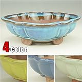 いよじ園 【激安アウトレット】【訳あり特価】【盆栽鉢】支那鉢/木瓜鉢 左右18cm【小品サイズ】