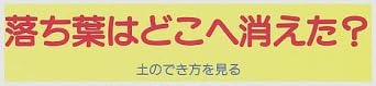 児童書『[子ども科学図書館シリーズ] 落ち葉はどこへ消えた？』で使われている【ナール】