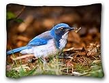 Decorative標準枕ケース動物鳥Humming Bird Flower動物20 " * 26 " One Side 標準 ブラウン VBNWO-31942