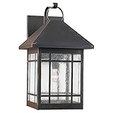 Sea Gull Lighting 85028-71, Largo Solid Brass Outdoor Wall Lighting, 75 Total Watts, Bronze [並行輸入品]