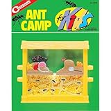 子供のためのAntキャンプ