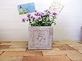植木鉢 鉢 おしゃれ 素焼き テラコッタ 陶器 アンティーク 鉢カバー ポット クラシカルな雰囲気がおしゃれなテラコッタの植木鉢 【グリパヴェフレーズブロックM】