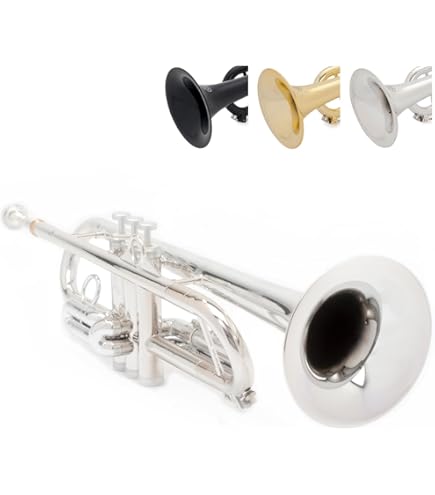 Amazon | PLAYTECH（プレイテック） PTST-200 スライドトランペット