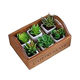 Demiawaking 寄せ植えの箱 肉植物・観葉植物対応 フラワースタンド 植木鉢 フラワーポット 収納ボックス アンティーク木箱(2#)