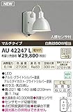 コイズミ照明　アウトドアライト【AU42247L】