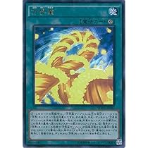 51GYCTwYXoL._AC_UL210_SR210,