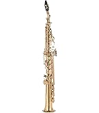 Amazon.co.jp: アンティグア Antigua ソプラノサクソフォン 【パワー