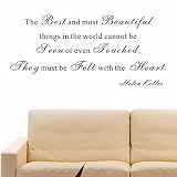 Pop Decors WL-0098-Vb Inspirational Quote Wall Decal, The Best and Most Beautiful Things by Pop Deco