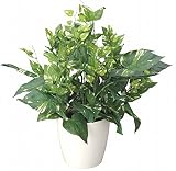 GREEN-s/造花 観葉植物 光触媒 グリーン ポトス ポット 255A4037