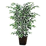 Vickerman 4' Artificial Variegated Focus Bush in Square Willow [並行輸入品]