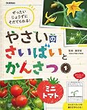 1 ミニトマト