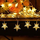 Weanas 5M　50球　LEDイルミネーションライト　星　防水 　8パターン点灯モード　調光対応　電池式パワー　シャンパンゴールド　結婚式、ホームパーティー　お誕生日パーティー　クリスマスなどに最