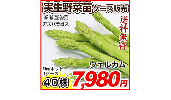 Amazon 国華園 野菜苗ケース販売 アスパラガス ウエルカム 周年発送 1ケース 40株入 業者直送 21年秋商品 野菜 Amazon 国華園 野菜苗ケース販売 アスパラガス ウエルカム 周年発送 1ケース 40株入 業者直送 21年秋商品 野菜