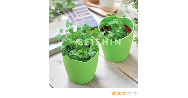 Amazon 四つ葉のクローバー栽培セット きっと見つかる 幸せのクローバー 草