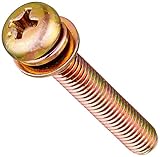 Hitachi 6695426 Screw-WS, 5 by 30mm [並行輸入品]