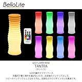 BelloLite ベローライト 充電式コードレスLEDインテリアライト フラワーベース　TANTRA （タントラ） BL93535 リモコン付