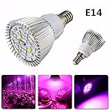 KING DO WAY 28W 28LED 電圧：85V-265V 植物育成LEDランプ　led植物育成ライト 水耕栽培ランプ 低消費電力　 led植物育成　 室内用 室内栽培 日照不足解消 水耕栽培