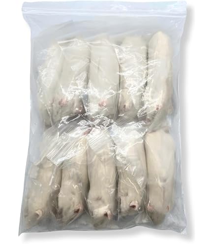 Amazon | 国産冷凍ラット (アダルトSS ～110g 5匹入り) | 冷凍ラット