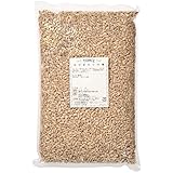 生ひまわりの種 / 1kg 富澤商店 ヒマワリの種