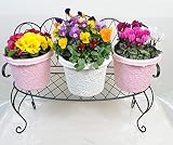 【数量限定】花台＆季節の鉢植え（エコポット）3鉢セット　CX-53BK　ワイヤー花台　アンティーク仕上げ　お花の種類はお選び頂けません