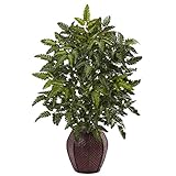 Bracken Fern with Decorative Planter