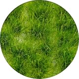 グリーンスタッフワールド(Green staff world) 草むら 12mm リアリスティックグリーン ホビー用素材 GSWD-12939 (情景)