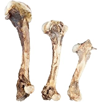 Amazon.co.jp ほしい物ランキング: 犬用骨・ボーン で、ほしい物リスト  