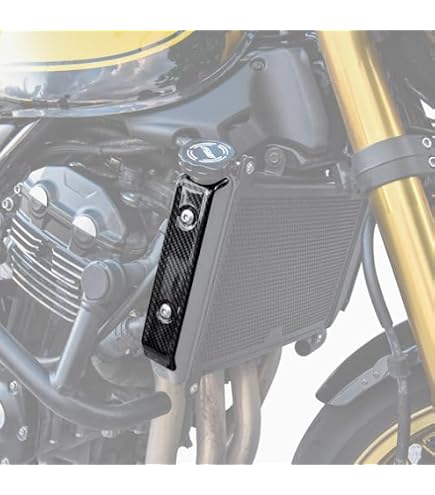 Amazon | ストライカー(STRIKER) ラジエター サイドシュラウド Z900RS
