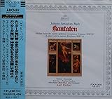 �J���^�[�^�W9