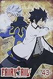 FAIRY TAIL 43