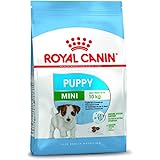 Royal Canin Mini Puppy
