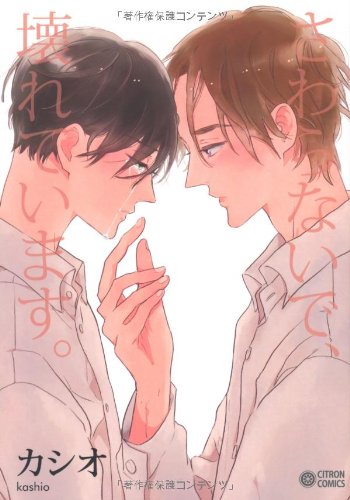 『さわらないで、壊れています。』