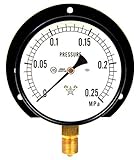 右下精器 汎用圧力計B100・G3/8 S-42・0.25MPA