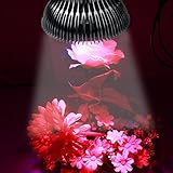 DC-HOUSE 12W PAR38 ハイパワー 赤と青 5：1 LEDライト E26 100-240V 水耕栽培 led