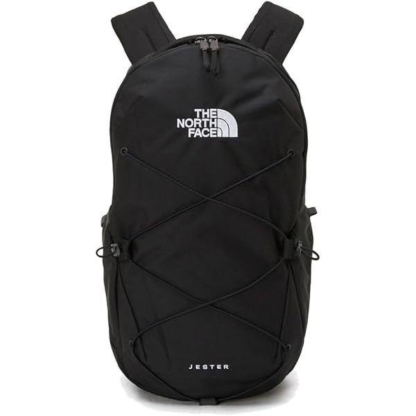 Amazon.co.jp: THE NORTH FACE ザ ノースフェイス SURGE サージ