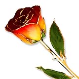 Yellow Red Long Stem Dipped 24K Gold Trim Genuine Rose in Gold Gift Box by Allmygold Jewelers [並行輸入品