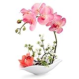 Louis Garden 造花　手触り　胡蝶蘭　シミュレーション　ウォーター盆栽 (ピンク)