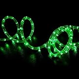WYZworksグリーンLEDロープライト – 柔軟な2ワイヤインドア/アウトドアアクセントHolidayクリスマスパーティー装飾用110 V照明| UL & CSA認定 100 ft No Mode