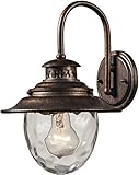Elk 45030/1 8 by 13-Inch Searsport 1-Light Outdoor Wall Sconce with Water Glass Diffuser, Regal Bron
