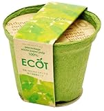 エコットＳ　レモンバーム