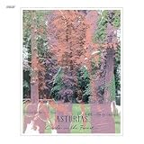 �T�[�N���E�C���E�U�E�t�H���X�g