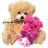 母の日 限定！大人気テディベアとカーネーションプードルセット カーネーションで作ったプードルが可愛い 母の日/母の日 カーネーション/母の日 プレゼント/母の日 2016/母の日 花/カーネーション 