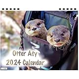 【予約販売】 カワウソ ATY 2024年 卓上 カレンダー TC24309