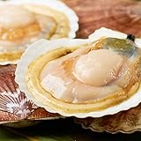 丸市岡田商店 北海道産 活ホタテ 約2kg 生 北海道 産地 直送 帆立 ほたて 天然 刺身 刺し身貝 殻付き バーベキュー BBQ (発泡スチロールケース梱包)