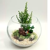 エフプランター MI-グラスボールM-プリザーブド-登山-BOX入