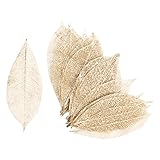 ~Coco Heart~ ハーバリウム　花材　ミニスケルトン　リーフ　大　プラチナ　10枚　ハーバリウム　キャンドル　アロマワックスバー　作りに（木の実・ドライフラワー.リース、アレンジ）