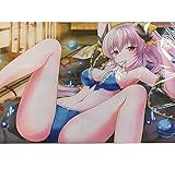 清姫 プレイマット C92 クラスター