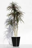 インテリアグリーン人工観葉植物、新ユッカ７本立て陶器鉢・光触媒製品